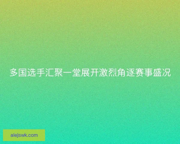 多国选手汇聚一堂展开激烈角逐赛事盛况